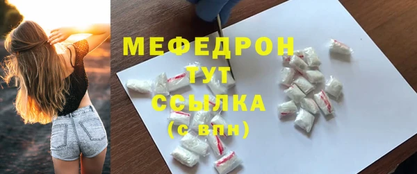 индика Бронницы