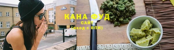 индика Бронницы