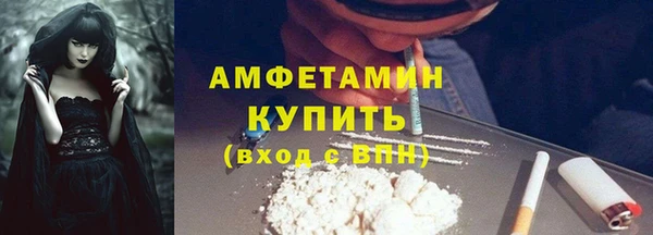 индика Бронницы