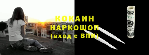 индика Бронницы