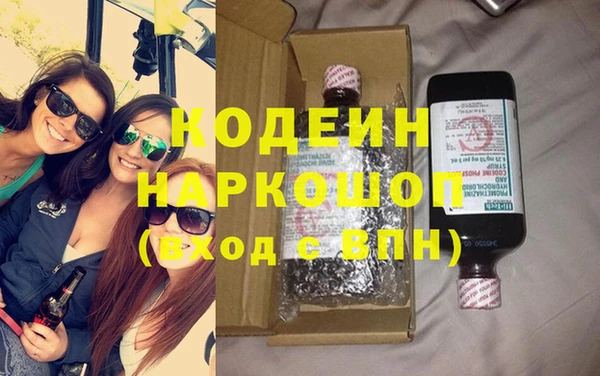 индика Бронницы