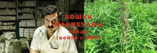 не бодяженный Бородино