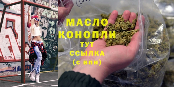 индика Бронницы
