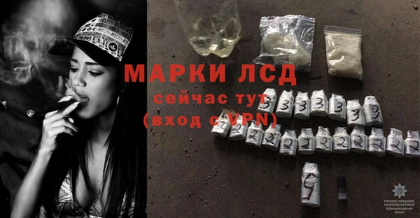 индика Бронницы