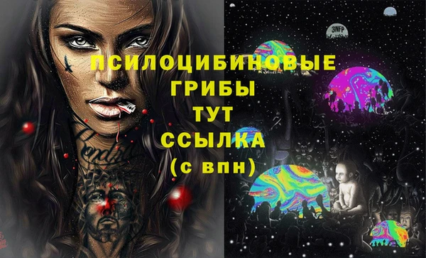 не бодяженный Бородино