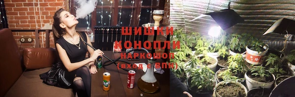 индика Бронницы
