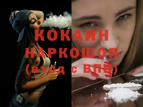 индика Бронницы