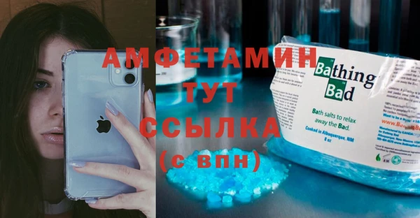 индика Бронницы